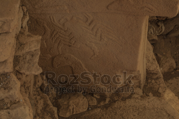 Göbeklitepe'de bulunan taş blok üzerindeki yırtıcı kuş kabartmasının yakın plan görünümü ve Neolitik Dönem taş işçiliği.