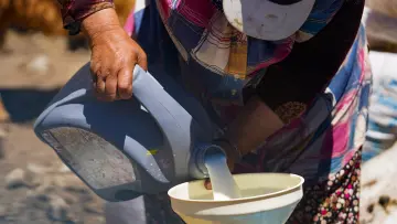 Hakkari yaylasında süt aktarımı, geleneksel hayvancılık, süt üretimi ve yöresel yaşam