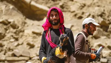 Hakkari yaylasında keçi yavrusu, yayla yaşamı ve geleneksel hayvancılık