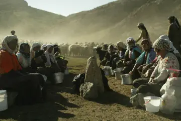Hakkari ile Şırnak arasındaki Kato dağı eteğinde yer alan Meydanzengil yaylasında konaklanan göçerler günün belirli bir saatinde imc usulu ile koyun sağımı için bir araya geliyorlar.