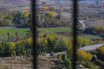 Hevsel Bahçeleri'nin sonbahar görünümünde yeşil ve sarı tonlara bürünen ağaçlar, ekili tarım alanları,