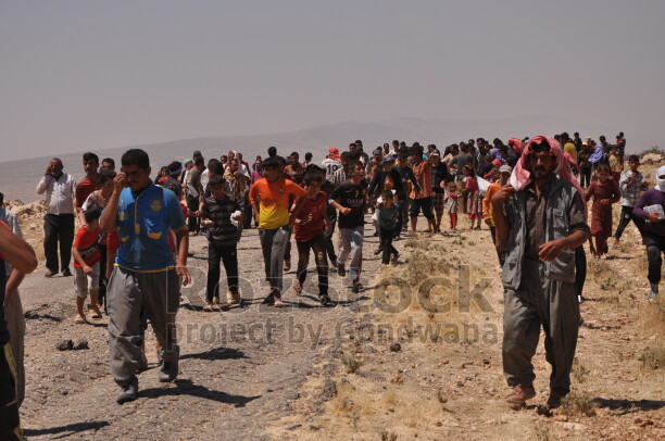 Şengal'de Daiş soykırımında kaçan Êzidî ailleler ve çocukları