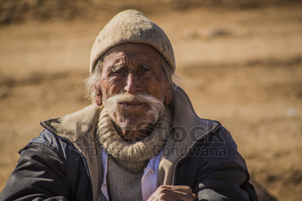 Şengal'de Daiş soykırımında kaçan Êzidî ailleler ve çocukları