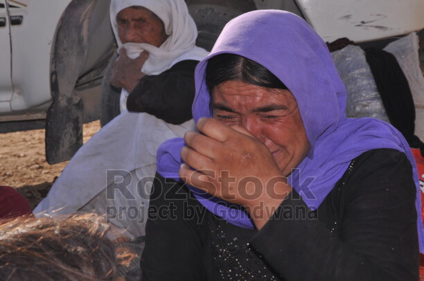 Şengal'de Daiş soykırımında kaçan Êzidî ailleler ve çocukları
