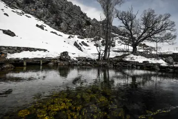 Karlı dağlar, berrak su, doğal göl ve kış manzarası