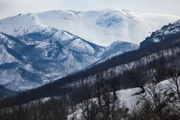 Ovacık karlı dağlar, kış manzarası ve karla kaplı ormanlık yamaçlar