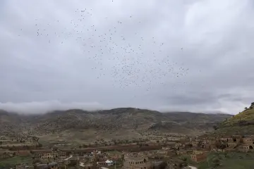 Mardin Savur Dereiçi kuş sürüsü, tarihi taş evler ve dağ manzarası