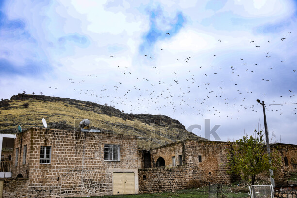 Mardin Savur Dereiçi kuş sürüsü, taş evler ve dağ manzarası