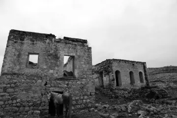 Mardin Savur harabe taş yapılar ve at