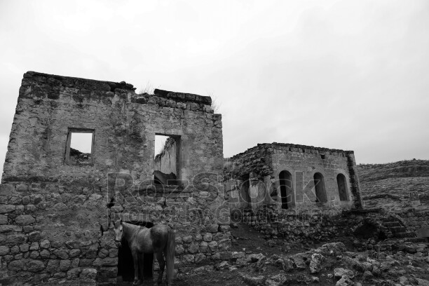 Mardin Savur harabe taş yapılar ve at