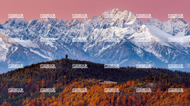 Örnek SEO ve alt yazı erişilebilirlik testi.