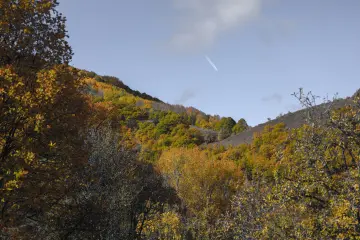 Pülümür dağlarında sonbahar ormanı ve renkli ağaçlar