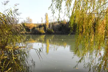 Hevsel Bahçeleri'nde sonbahar mevsiminde sazlıklar ve söğüt ağaçlarıyla çevrili su alanı.