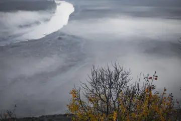 Sis içinde Dicle Nehri, sonbahar ağaçları ve Diyarbakır'da sisli doğa manzarası