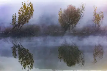Hevsel Bahçeleri'nde sisle örtülen su yüzeyinde sonbahar ağaçlarının yansımaları.