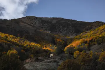 Sonbaharda sarı ve turuncu ağaçlarla çevrili dağlık vadi manzarası