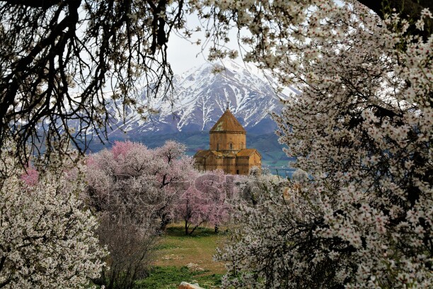 Van Akdamar Adası, Akdamar Kilisesi, badem çiçekleri, karlı dağlar