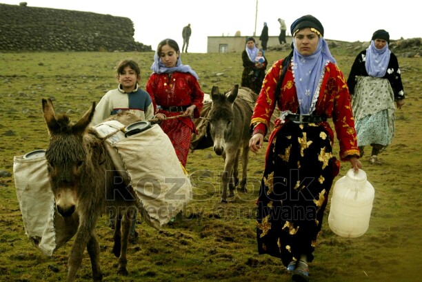 Urfa'nın Siverek İlçesine bağlı Çıkrık Köyünde şebeke suyu hizmeti olmadığından dolayı kadınlar köyün dışında bulunan dereden eşeklerle su taşıyor. Karacadağ eteklerinde bulunan köyde yurttaşlar geçimini hayvancılık yaparak sağlıyor. Ancak su sıkıntısı nedeni ile özellikle kadınlar büyük zorluklarla karşı karşıya kalıyor.