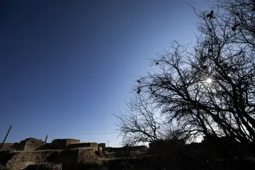 Zaz Köyü tarihi taş evler yapraksız ağaç ve köy manzarası